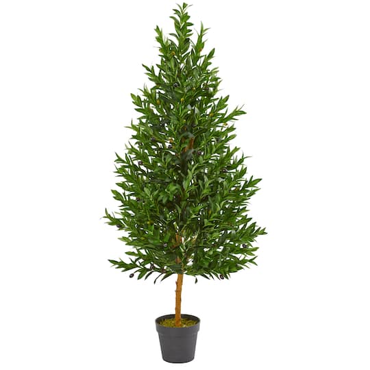4.5ft. Potted Olive Cone Topiary Tree